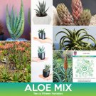 Aloe Succulents Mix Seeds Combined On 500 Seed Varieties Easy to Grow