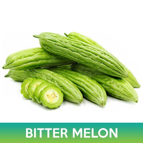 Bitter Melon Tai Guo Hybrid Seeds Momordica Charantia Easy to Grow