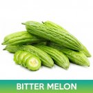 Bitter Melon Tai Guo Hybrid Seeds Momordica Charantia Easy to Grow
