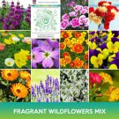 Fragrant Wildflower Mix Seeds Easy to Grow