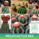 Melocactus Cactus Mix Seeds Easy to Grow