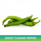 Sweet Fushimi Pepper Seeds Easy to Grow
