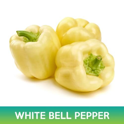 White Bell Pepper Seeds Easy to Grow