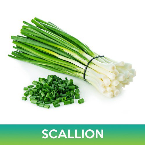 Evergreen Hardy White Scallion Seeds Easy to Grow