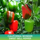 California Wonder Sweet Bell Pepper Seeds Easy to Grow