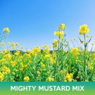 Mighty Mustard Mix Seeds Mighty Mustard Trifecta Power Blend Cover Crop Easy to Grow