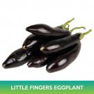 Little Fingers Eggplant Seeds Easy to Grow