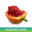 Passionflower Seeds Passiflora Caerulea Easy to Grow