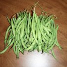 50 Greencrop Bean Phaseolus Vulgaris Vegetable Seeds Easy to Grow
