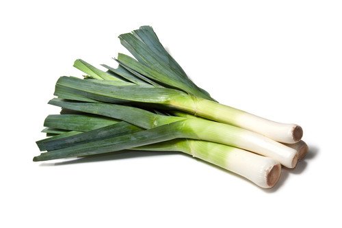 800 American Flag Leek Large Leek Allium Porrum Vegetable Seeds Easy to Grow