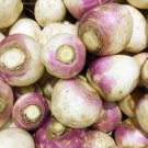 3000 Laurentian Rutabaga Brassica Napus Vegetable Seeds Easy to Grow