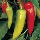 300 Hungarian Hot Wax Pepper Hot Banana Pepper Capsicum Annuum Vegetable Seeds Easy to Grow