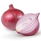 250 Red Burgundy Onion Allium Cepa Vegetable Seeds Easy to Grow