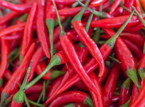 300 Long Red Cayenne Pepper Capsicum Annuum Vegetable Seeds Easy to Grow