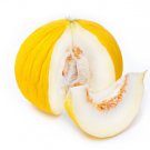 50 Golden Beauty Casaba Melon Cucumis Melo Fruit Seeds Easy to Grow