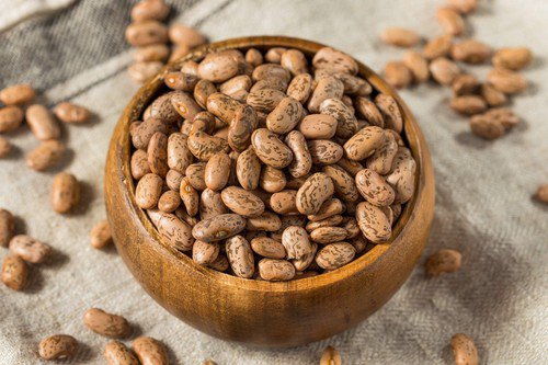 50 Pinto Bean Phaseolus Vulgaris Vegetable Seeds Easy to Grow