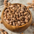 50 Pinto Bean Phaseolus Vulgaris Vegetable Seeds Easy to Grow
