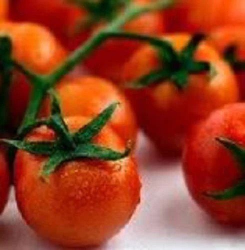 300 Small Red Cherry Tomato Lycopersicon Lycopersicum Fruit Vegetable Seeds Easy to Grow