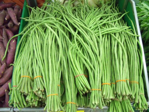 30 Yard Long Bean Asparagus Bean Cowpea Phaseolus Vulgaris Vegetable Seeds Easy to Grow