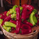 75 Cubanelle Pepper Italian Sweets Banana Italian Frying Capsicum Veggie Seeds Easy to Grow