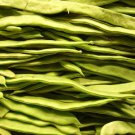 50 Romano Bush Bean Italian Flat Green Pod Phaseolus Vulgaris Vegetable Seeds Easy to Grow