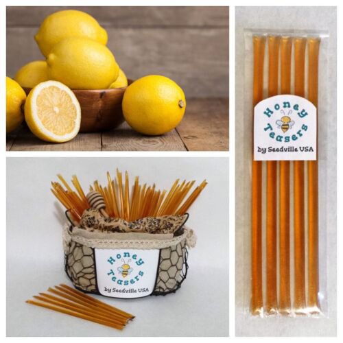 5 Pack Lemon Honey Teasers Natural Honey Snack Sticks Honeystix Straws Easy to Grow
