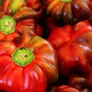 100 Pimento Pepper Red Sweet Pimientio Italianelle Roasting Frying Capsicum Seed Easy to Grow
