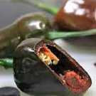 40 Mulato Isleno Pepper Brown Mildly Hot Ancho Poblano Capsicum Vegetable Seeds Easy to Grow