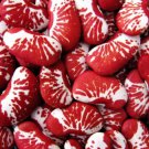 15 Christmas Lima Bean Calico Chestnut Phaseolus Lunatus Legume Vegetable Seeds Easy to Grow