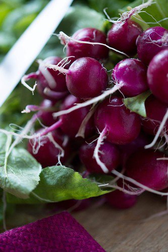 300 Purple Plum Radish Raphanus Sativus White Flesh Root Vegetable Seeds Easy to Grow