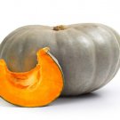 15 Jarrahdale Green Pumpkin Jarradale Blue Grey Cucurbita Maxima Vegetable Seeds Easy to Grow