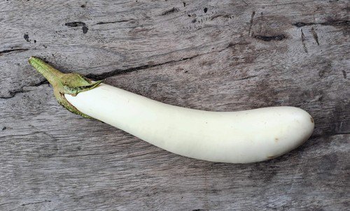40 White Star Finger Fruit Eggplant Solanum Melongena Aubergine Vegetable Seeds Easy to Grow