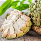 15 Sugar Apple Sweetsop Custard Apple Annona Squamosa Edible Fruit Tree Seeds Easy to Grow