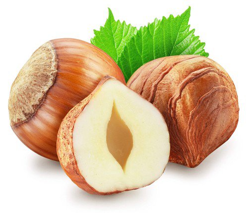 5 European Hazelnut Tree Aka Common Filbert Corylus Avellana Fruit Nut Seeds Easy to Grow