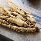 25 American Ginseng Panax Quinquefolius Shade Herb Seeds Easy to Grow