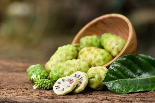 20 Noni Cheese Fruit Great Morinda Citrifolia Indian Beach Mulberry Shrub Tree S Easy to Grow