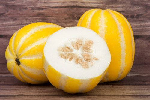 50 Early Silver Line Melon Cucumis Yellow Striped White Flesh Korean Fruit Seeds Easy to Grow