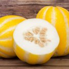 50 Early Silver Line Melon Cucumis Yellow Striped White Flesh Korean Fruit Seeds Easy to Grow