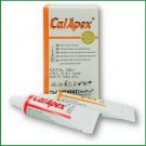 CalApex Calcium Hydroxide Based Root Canal Sealer 20gm Tube form