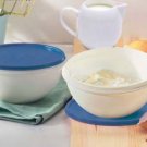 New Tupperware Thatsa Bowl Set (2)
