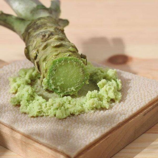 600 Japanese Horseradish Wasabi Mustard Sinapis Organic Heirloom Seeds Fresh Garden