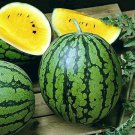 50 Yellow Janusik Watermelon Citrullus Organic Heirloom Seeds Fresh Garden