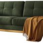 67.7â Loveseat Sofa, Mid Century Modern Decor Love Seat Couches for Living Room, Button Tufted