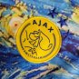 Ajax Amsterdam 23 24 Van Gogh Special  Soccer Football Futbol Adults  Kit
