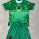 Netherland 26 green GK