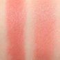 Cover FX Monochromatic Blush Duo Matte + Shimmer ~Spiced Cinnamon~