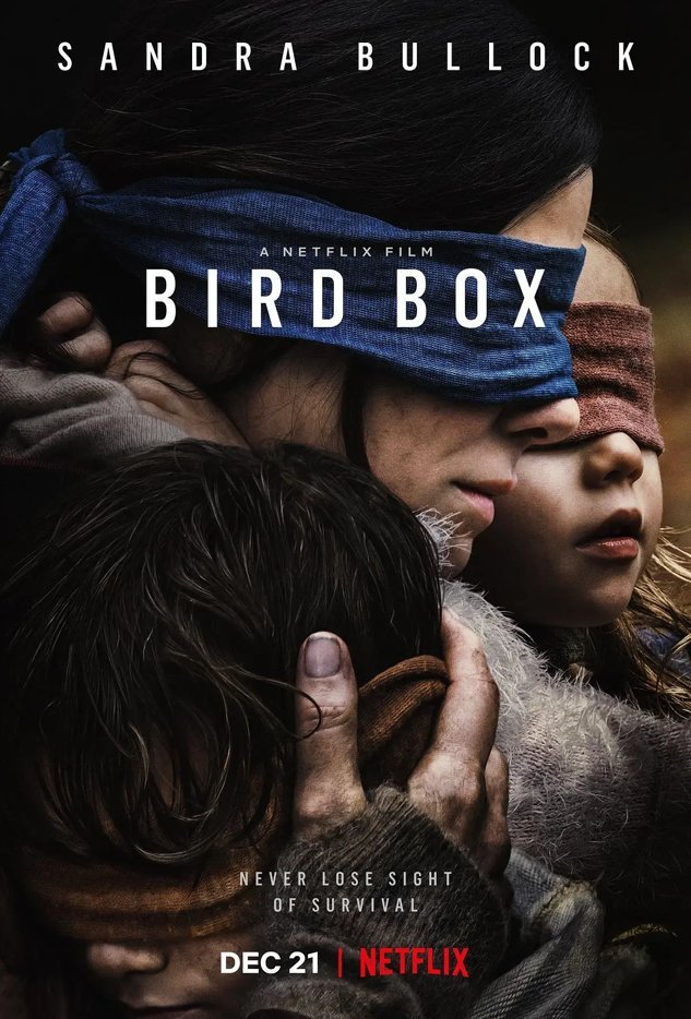 Bird Box (DVD Blu-ray) 2018