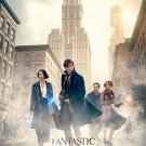 Fantastic Beasts and Where to Find Them (Blu-ray) 2016