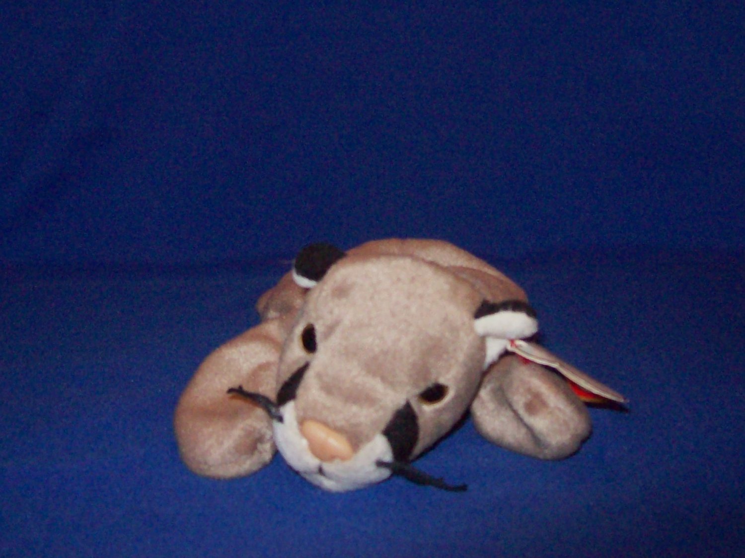 stuffed mountain lion