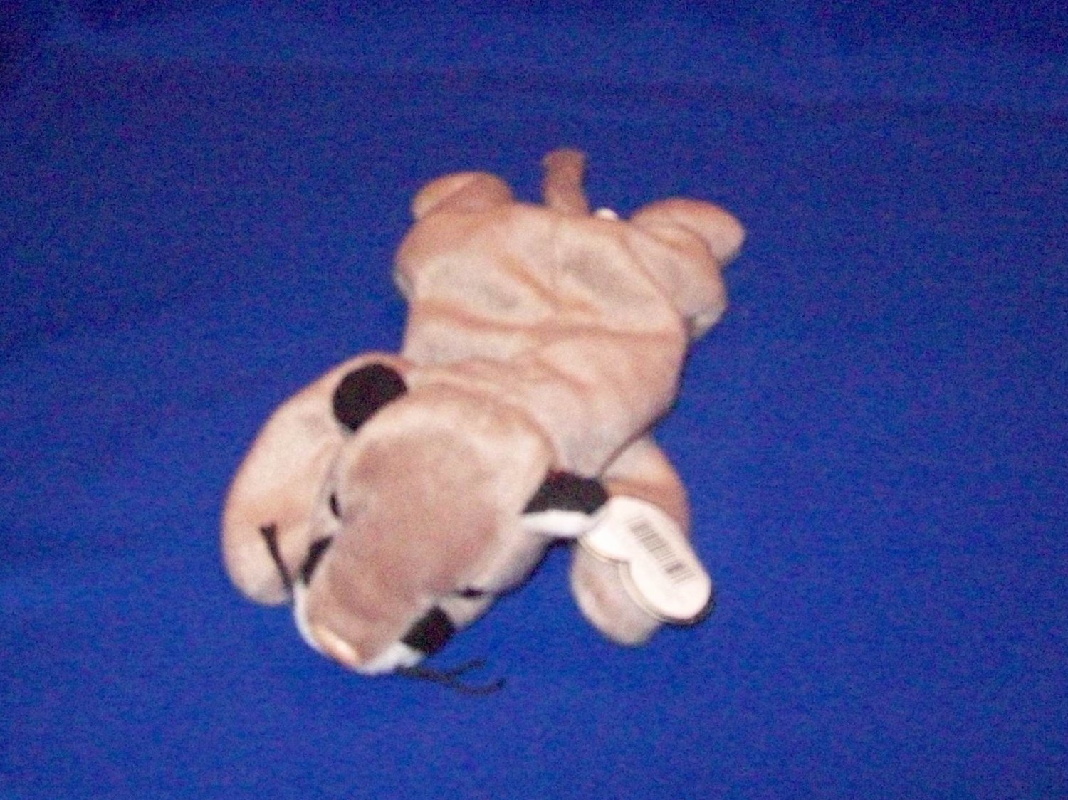 stuffed mountain lion